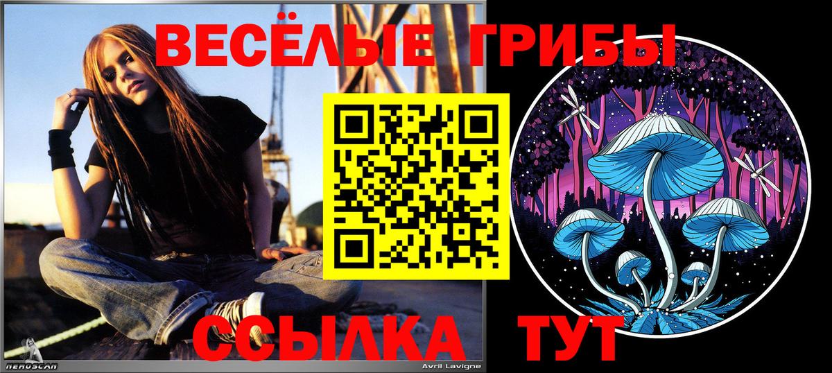Галлюциногенные грибы мицелий  Вход с VPN  Дмитров 