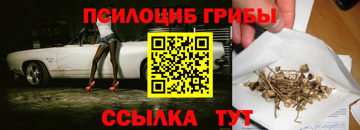 Галлюциногенные грибы мухоморы Дмитров